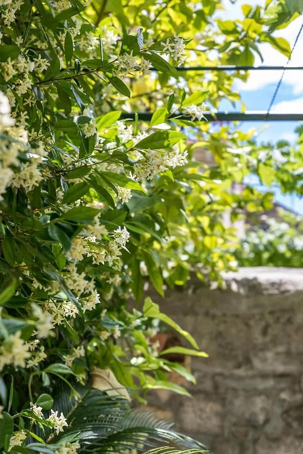 Luxury Apartment Silvana With Beautiful Garden Split Pensjonat